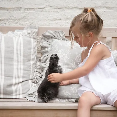 Bed & Breakfast 't Wit Huys Bruges